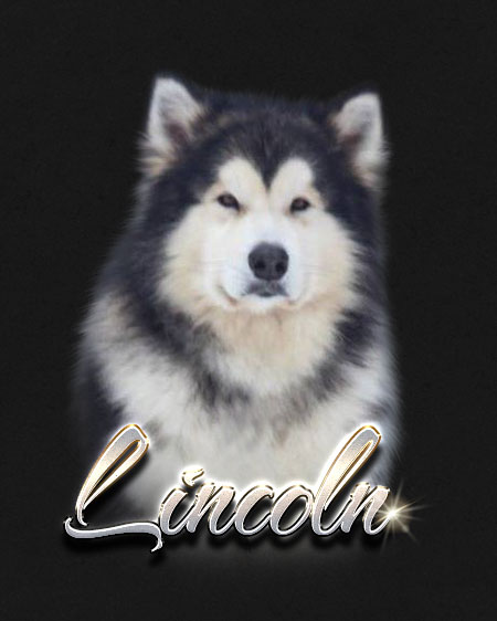 Cedarcreek Enigma